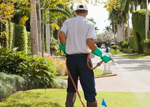 About Pineville NC Pest Control Pros